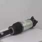 Air suspension shock absorber rear left for Tesla Model S 5YJS (2016-2021) OEM 1067461-26-B 1067461-25-C 1067461-00-C 1067461-01-B